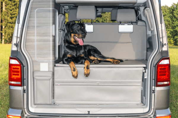 100501529 - FLEXBAG Grand rangement cache-coffre arrière T6 / T5 Volkswagen California Ocean, Coast, Confortline - Palladium – Image 2