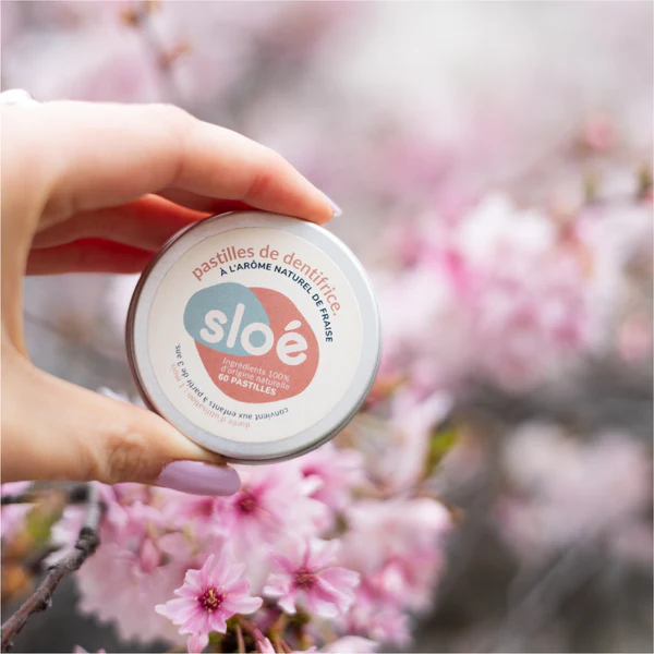 Sloé Nature : Cosmétiques Solides Bio Made in Lyon pour Vanlife Zéro Déchet