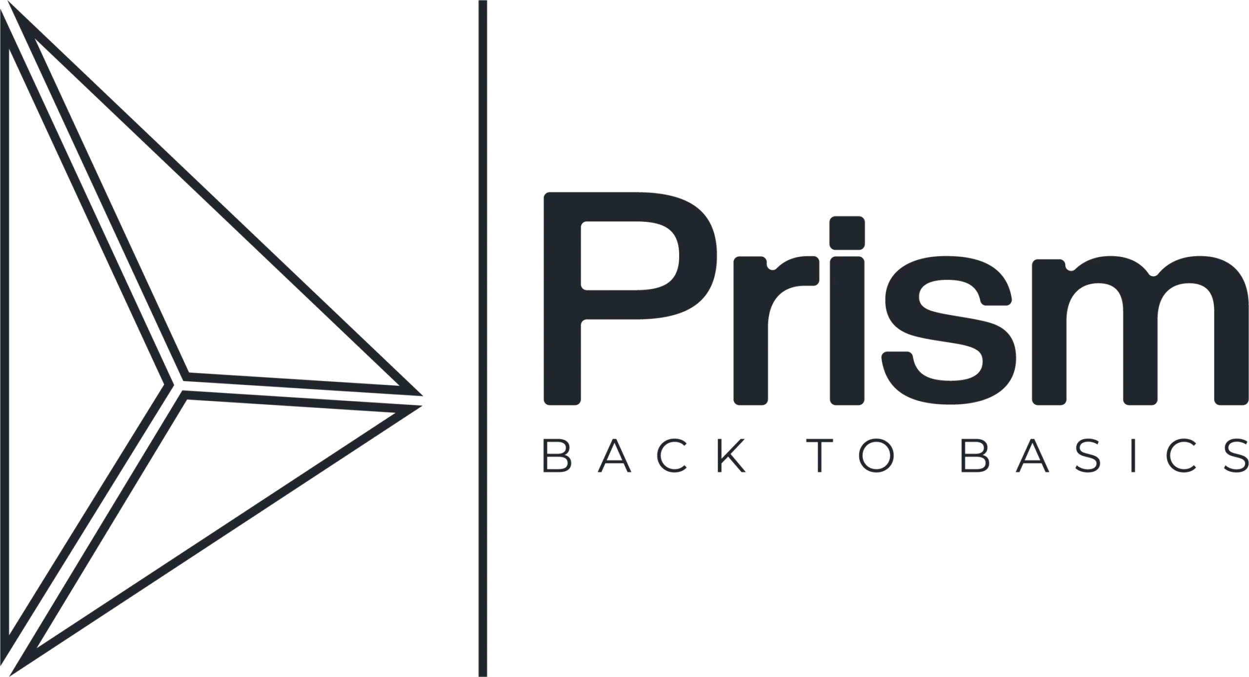 Logo PRISM Surfboards